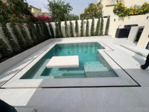 Modern Swimming Pool Project
