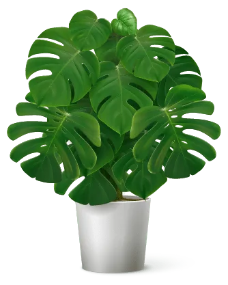 Tropical plant decoration